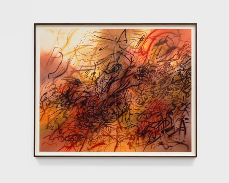 Julie Mehretu