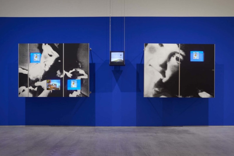 <a href="https://www.museoreinasofia.es/en/activities/how-i-would-gaze-wonder-imagination-and-ordinary-beauty"><font color="#000000">DARA BIRNBAUM</font></a><br>