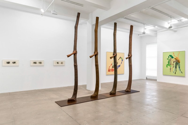 GIUSEPPE PENONE<br>