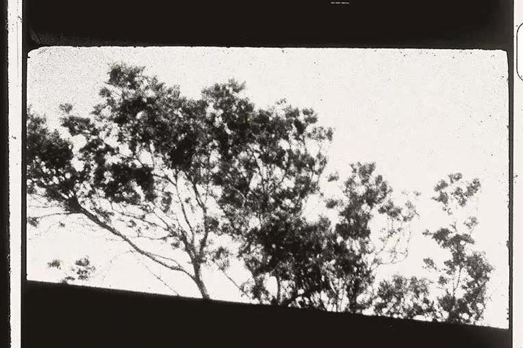 Interconnected landscapes