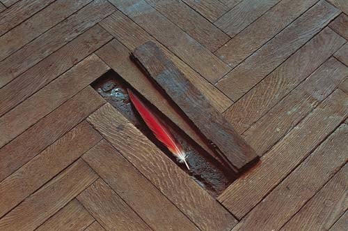 <a href="https://en.von-der-heydt-museum.de/exhibitions/lothar-baumgarten/"><font color="#000000">LOTHAR BAUMGARTEN</font></a><br>
