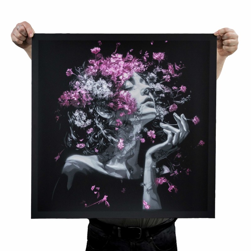 <b><i>Morning Lights</i></b><br>