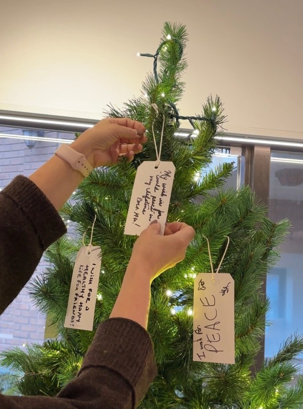 <a href="https://www.instagram.com/p/DRUcSYQjqki/">Wishes Tree</a>