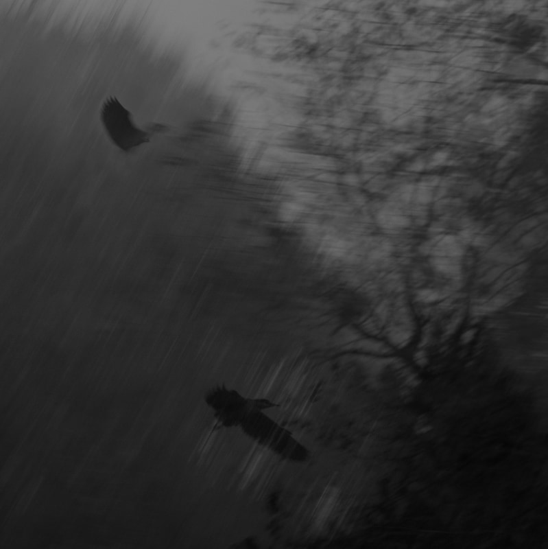 归去来兮-肖日保摄影展<br>