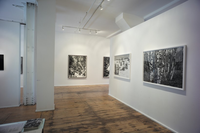 Natural Order, Purdy Hicks Gallery, London