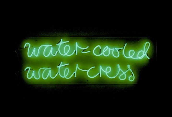 <p>Water-Cooled Watercress, 1989<br /><em>Neon with Julie Farthing, 152 x 51 x 6.5 cm 59.8 x 20.1 x 2.6 in</em></p>