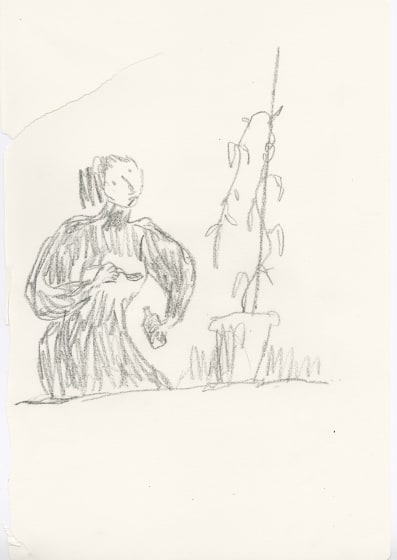 <p><em>In Praise of Potted Plants #7</em>, 2019</p><p>£1200</p>