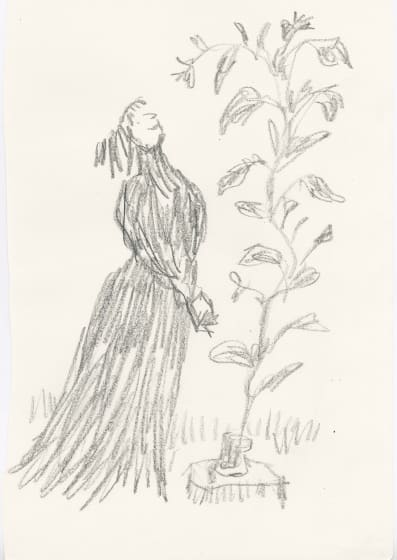 <p><em>In Praise of Potted Plants #8</em>, 2019</p><p>SOLD</p>
