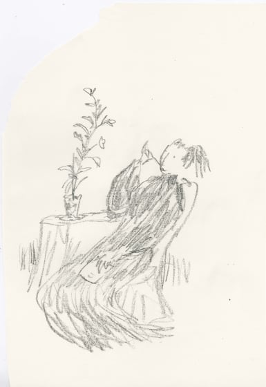 <p><em>In Praise of Potted Plants #12</em>, 2019</p><p>£1200</p>