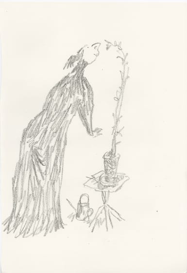 <p><em>In Praise of Potted Plants #13</em>, 2019</p><p>SOLD</p>