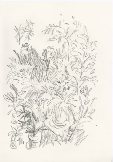<p><em>In Praise of Potted Plants #16</em>, 2019</p><p>SOLD</p>
