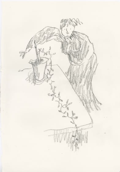 <p><em>In Praise of Potted Plants #17</em>, 2019</p><p>SOLD</p>