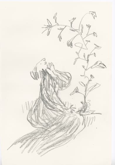 <p><em>In Praise of Potted Plants #20</em>, 2019</p><p>SOLD</p>