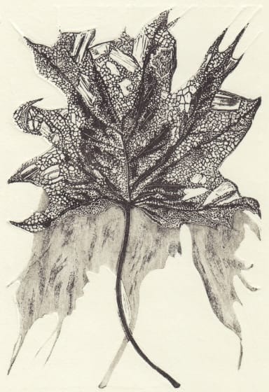 <p>Hannah Baker</p><p>Skeleton Leaf</p>