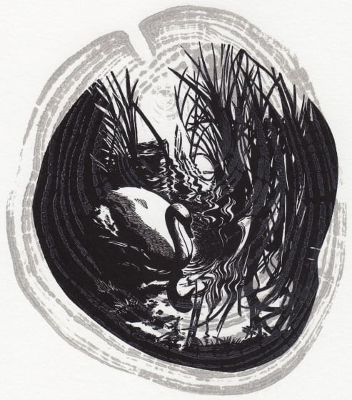 <p>Blaze Cyan</p><p>The Swan, Surrey</p>