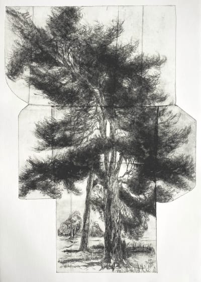 <p>Ky Lewis</p><p><em>Waiting For The Starman</em></p><p>drypoint</p>