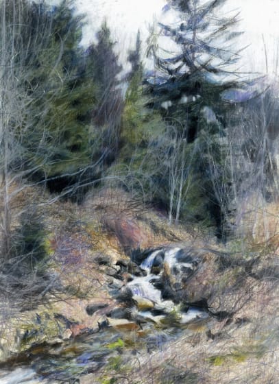 <p>Olga Babich</p><p><em>Forest</em></p><p>pencil on paper</p>