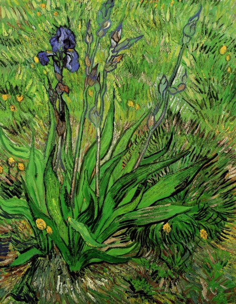 Vincent Van Gogh, Iris, 1890, National Gallery of Canada