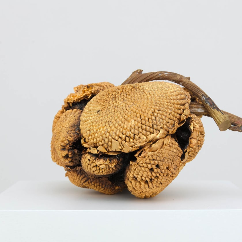 Alberto Scodro | group show Zonnebloemen voor Van Gogh at Van Gogh Huis (Zundert)