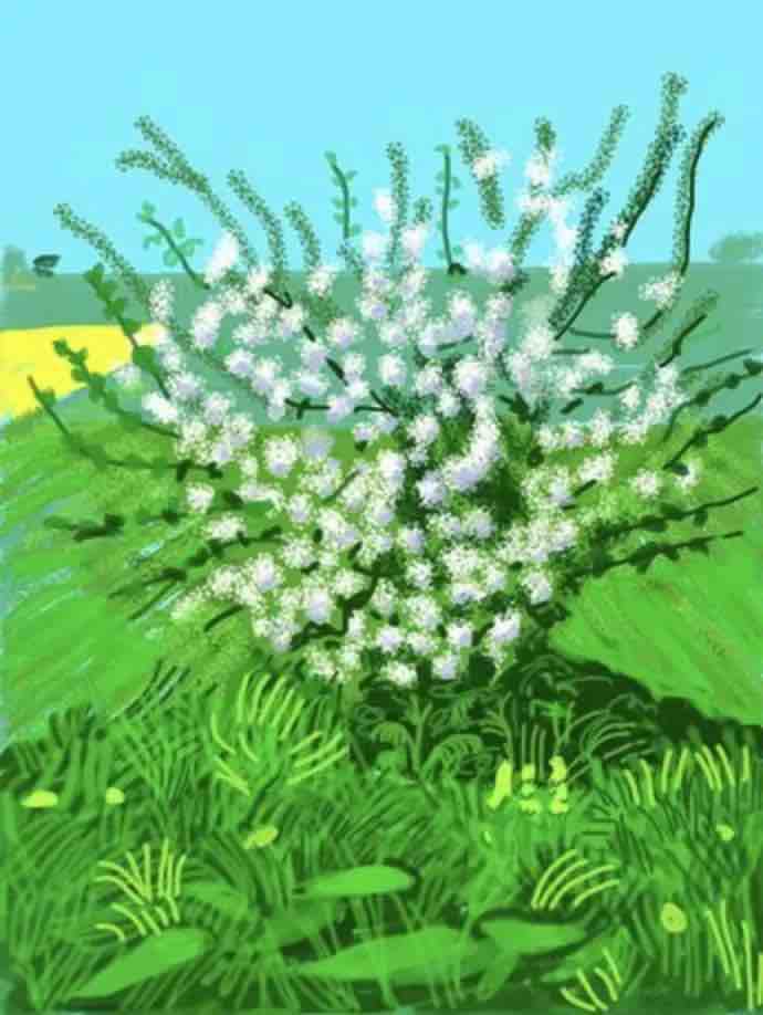 Buy or sell David Hockney, The Arrival of Spring in Woldgate, East Yorkshire, 30 April 2011, iPad drawing