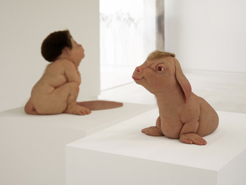 置物    Patricia  1993 Patricia Piccinini & Joy Hester: Through love… | Hosfelt Gallery