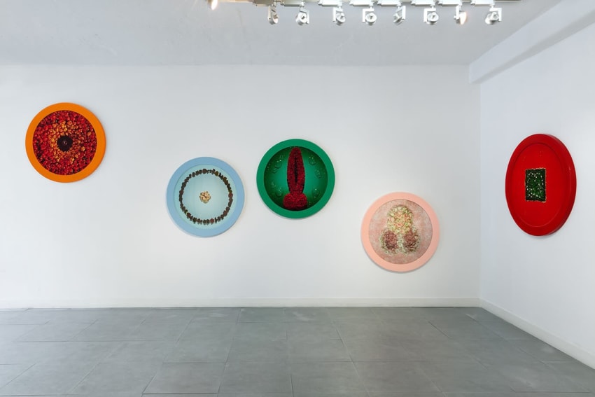 Helen Chadwick Overview Richard Saltoun