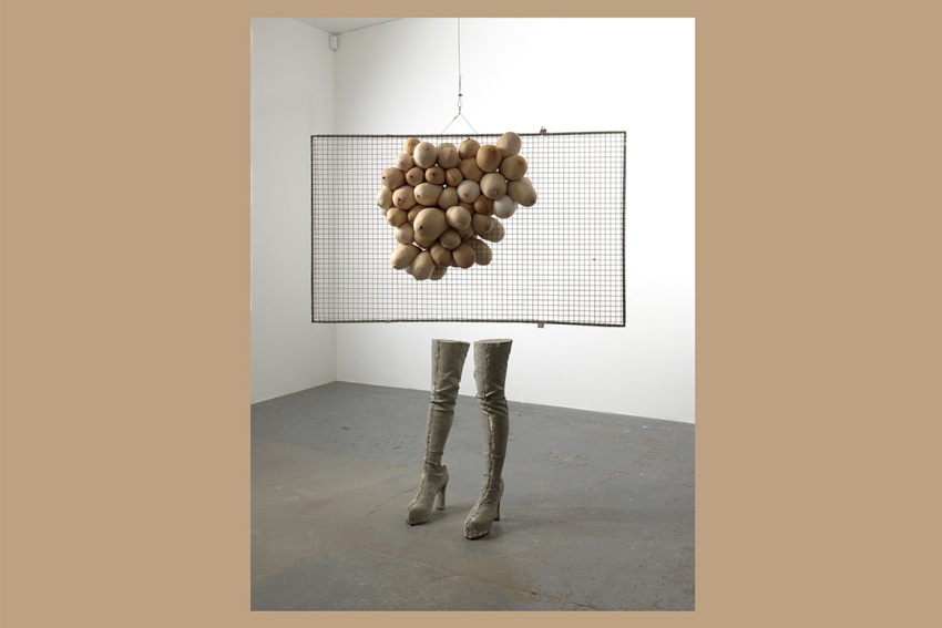 Sarah Lucas and Rudolf Stingel