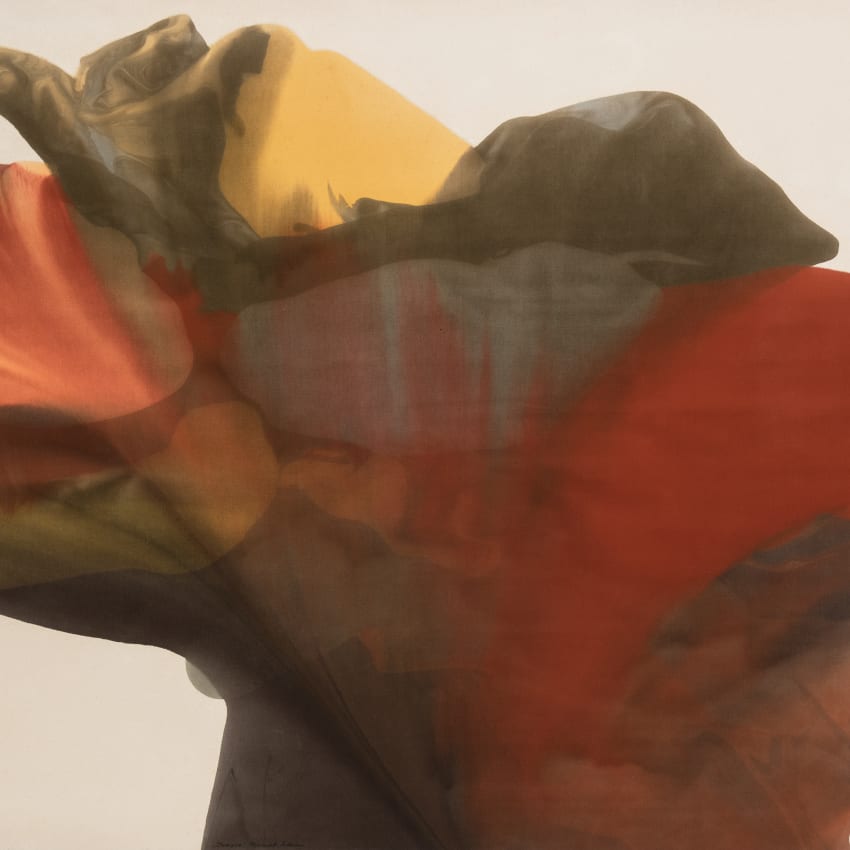 How This Artist Does Flowers Is Worthy of Your Attention