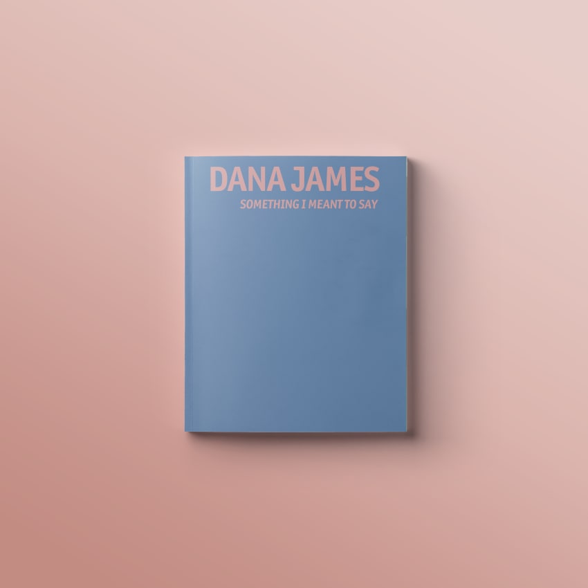 Dana James: Something I Meant to Say