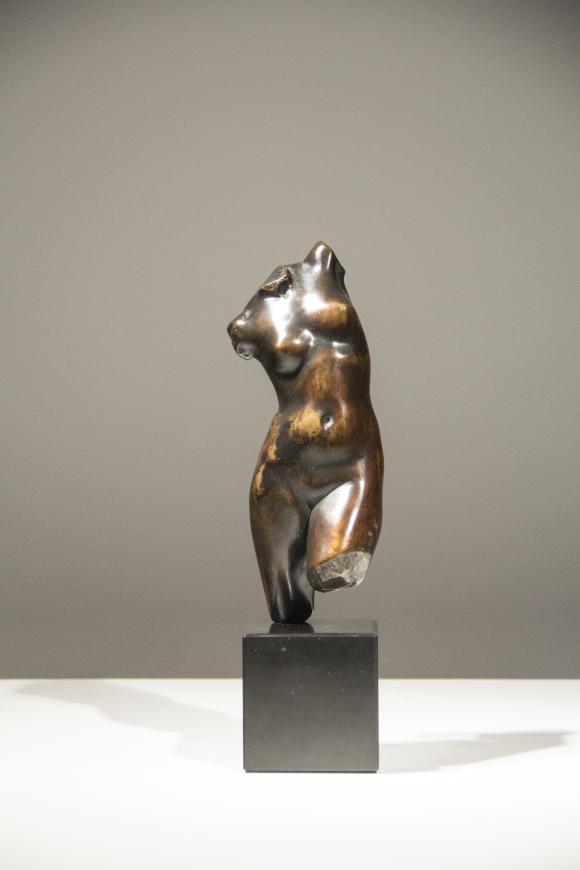 Diana Torso