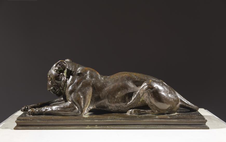 Recumbent Lioness