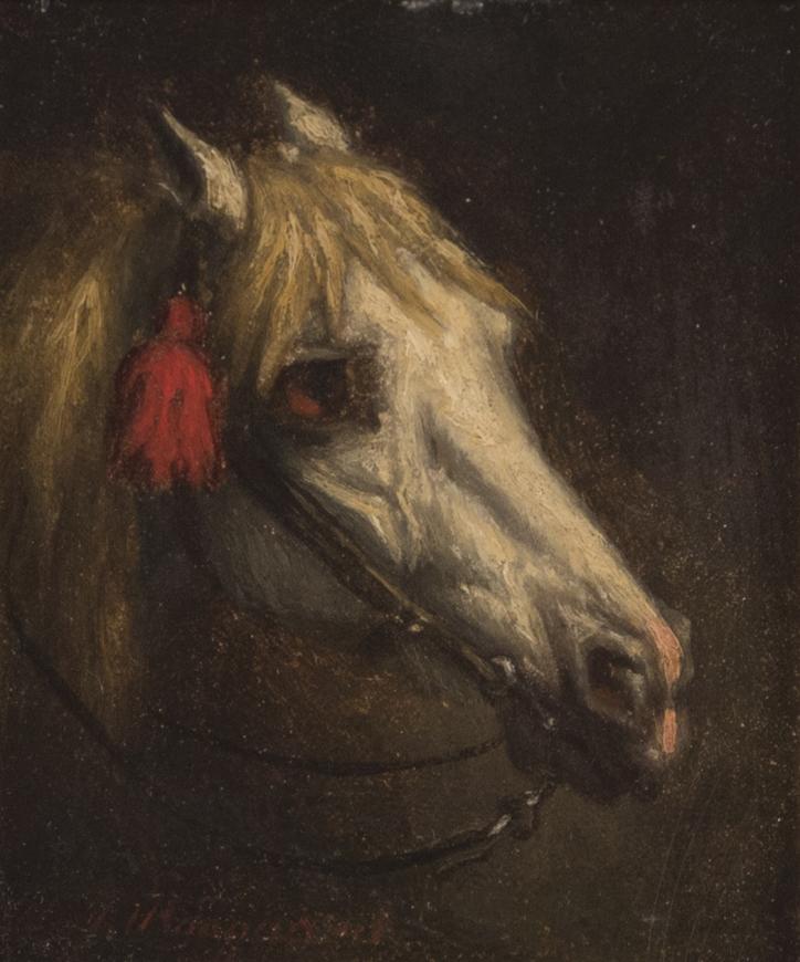 Willem Jacobus Boogard, Tête de Cheval