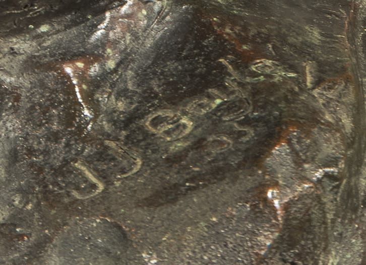 Indian Capturing an Eagle