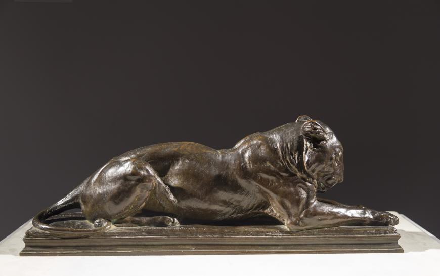 Recumbent Lioness