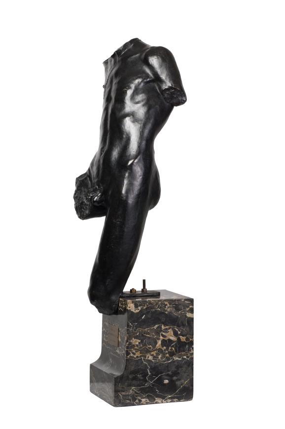 Torse D'Adolescent