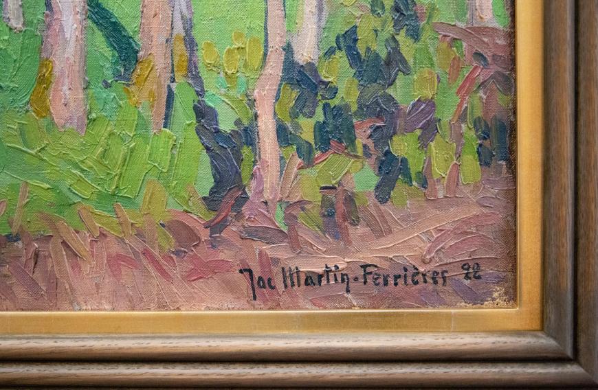 Saint-Cirq Lapopie, Undergrowth in the Brook