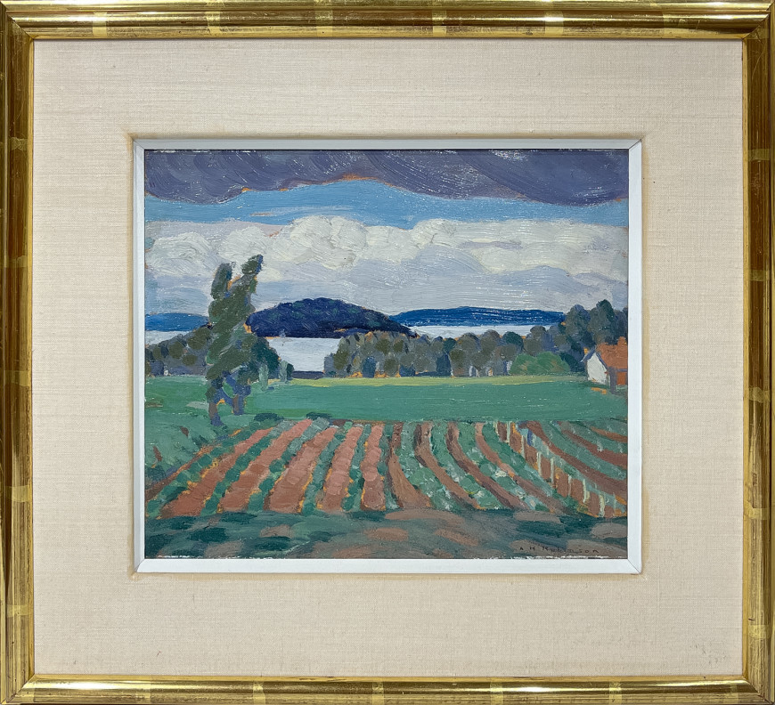 Cultivated Fields, Brome Lake