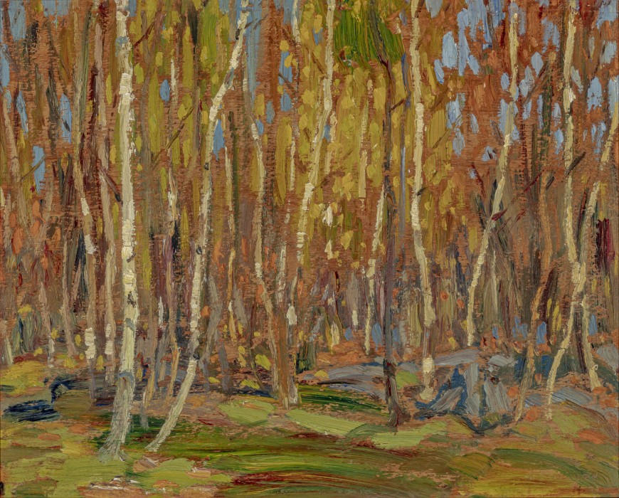 Untitled Landscape - Birches