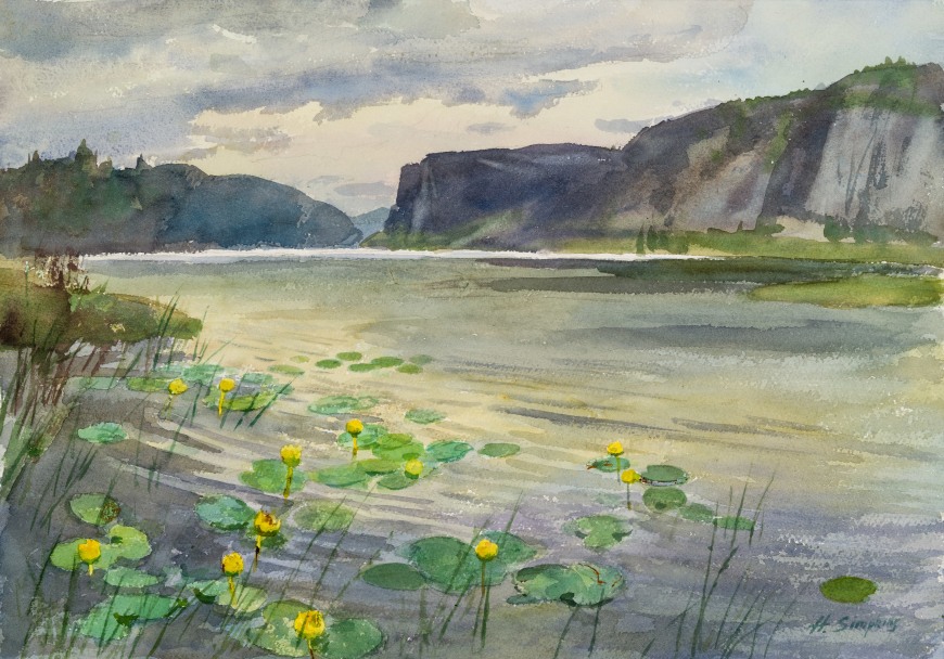 Waterlilies, Vaseux Lake, B.C - Nénuphars,  Lac Vasseux, B.C.