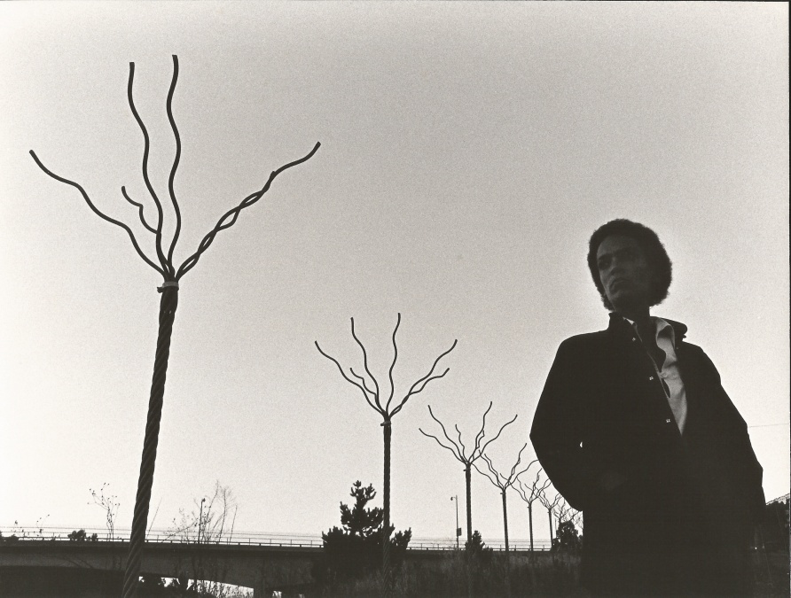 <span class="artist"><strong>Maren Hassinger</strong></span>, <span class="title"><em>Installation View, Twelve Trees, Los Angeles, CA, 1978</em></span>