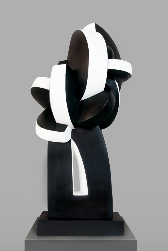 <span class="artist"><strong>Sophia Vari</strong></span>, <span class="title"><em>Fleur de nuit</em>, 2011</span>