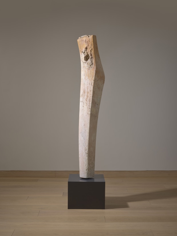<span class="artist"><strong>Yves Dana</strong></span>, <span class="title"><em>Apparition</em>, 2024</span>