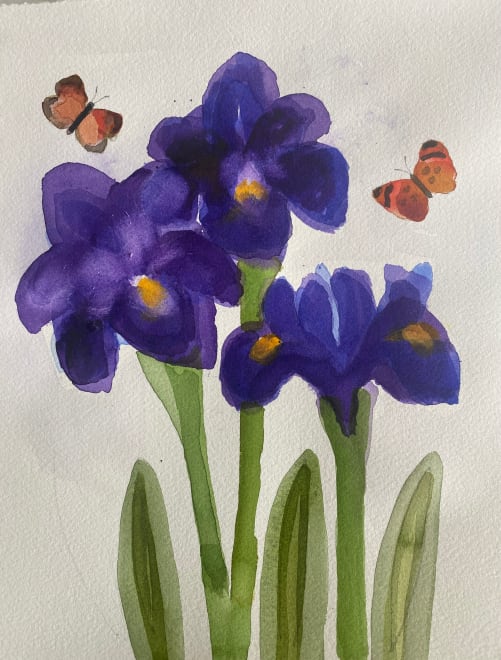 Iris & Butterflies