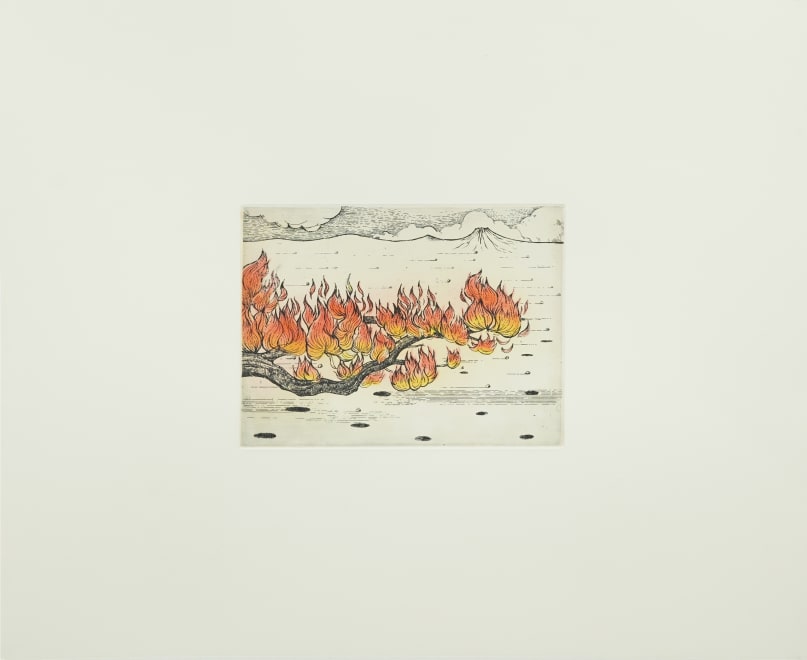 Trees of Flame ( Atacama)