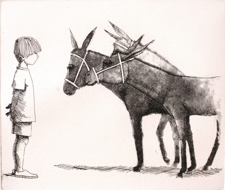 Donkeys