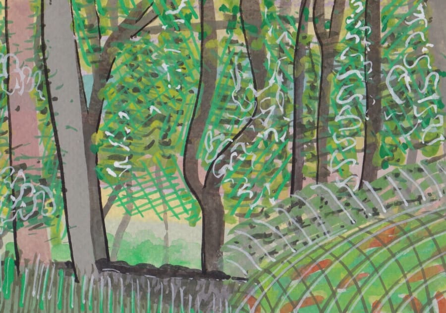 Northumbrian Driveway's Trees to the Right