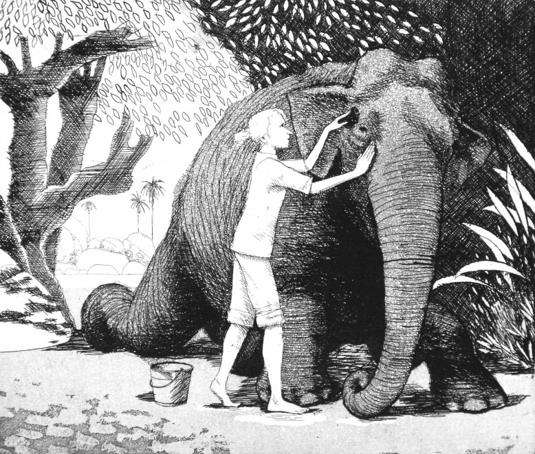 Washing an Elephant
