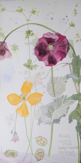 Summer Flowers