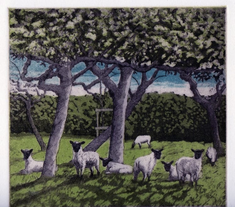 The Orchard, Upcott