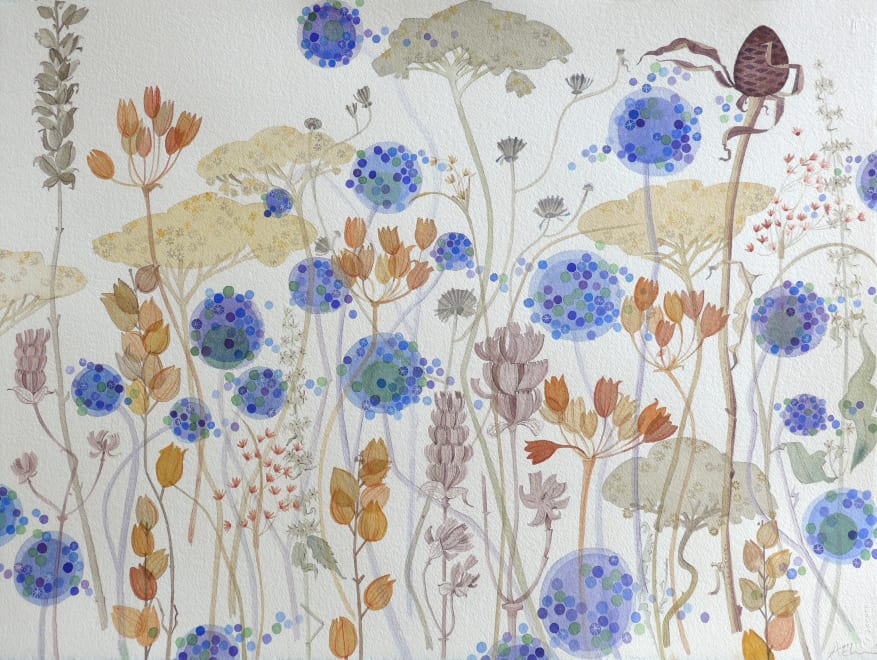 Wild Garden Seedheads